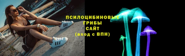 тгк Алзамай