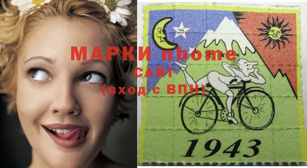 тгк Алзамай