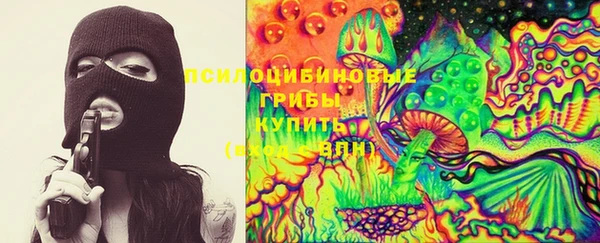 тгк Алзамай