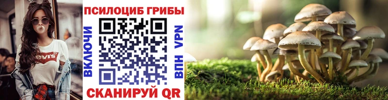 Галлюциногенные грибы Cubensis  blacksprut рабочий сайт  Куровское 